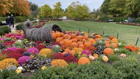 Down the Garden Path: Mum’s the word