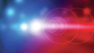 Ogle sheriff: 4-year-old Monroe Center child killed in dog attack