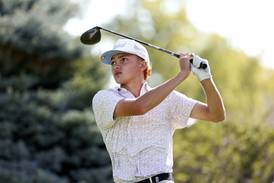 2025 IHSA state golf preview: McHenry County golfers set to tee off this weekend