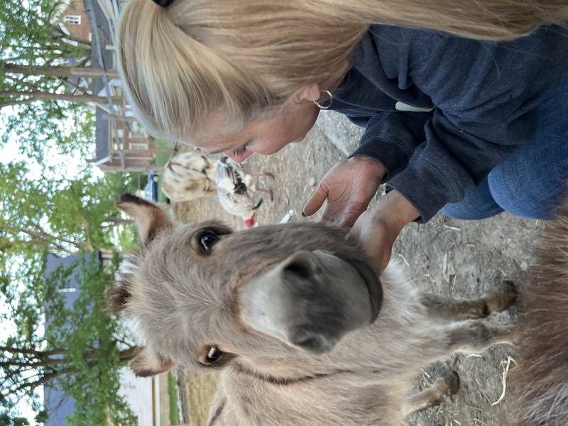 Kitzman’s Farm Sanctuary is hosting special outdoor walking tours Saturday, Aug. 2, 2025.