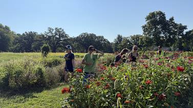 Dixon farm sanctuary visit brings ag lessons to life for Sterling students