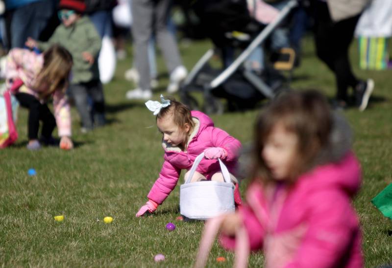Leighton Pritchard, 4, of Glen Ellyn snatches up eggs during an egg hunt hosted by the Glen Ellyn Park District at Maryknoll Park on Friday, April 7, 2023.