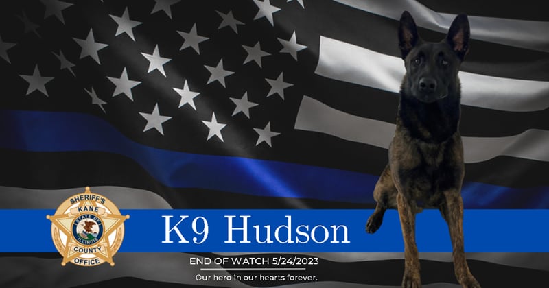 A funeral for Kane County police dog K-9 Hudson will be held June 1, 2023 at Kaneland Harter Middle School in Sugar Grove. Hudson was killed in a shootout between deputies and a carjacking suspect May 24, 2023.