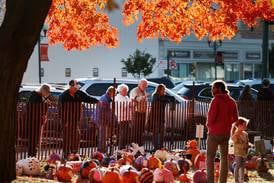 The 64th annual Sycamore Pumpkin Festival returns Oct. 22: ‘People love Sycamore’