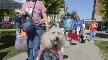 Bill’s Barktoberfest returns to Ottawa on Saturday