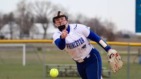 A look at Princeton High School softball pitching records
