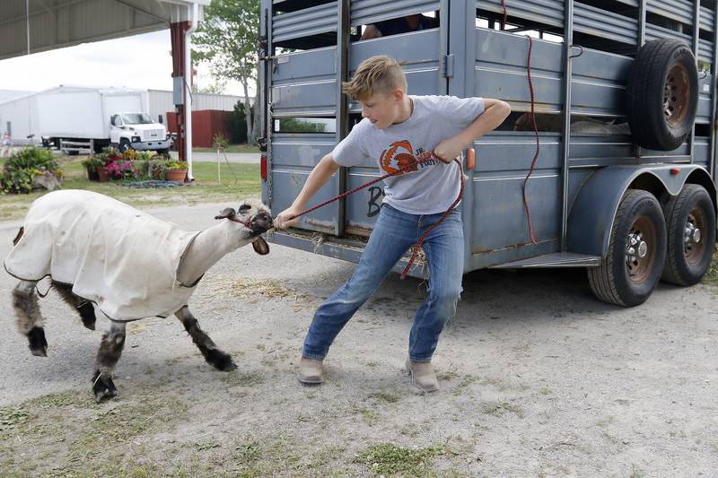 Caleb Linneman, 11, of Harvard, unloads sheep at the McHenry County Fairgrounds on Monday, Aug. 2, 2021, in Woodstock. The fair opens noon Tuesday and continues through Sunday with a variety of events, carnival rides, food and music.