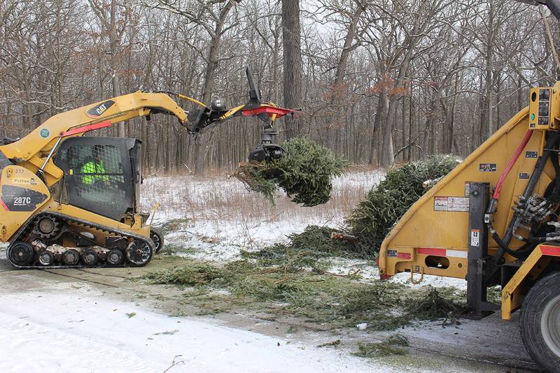 The Lake County Forest Preserves recycle holiday trees into wood chips for trails and landscaping in your forest preserves.