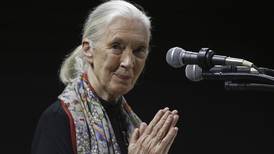 Jane Goodall, conservationist renowned for chimpanzee research and environmental advocacy, has died