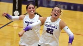 Girls volleyball: 2025 All-Fox Valley Conference team announced