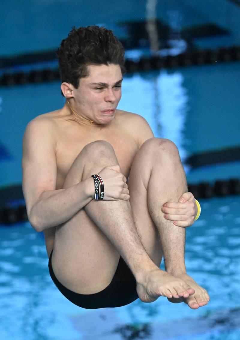 Lockport’s Andy Giorgetti dives during the boys state swimming and diving finals at FMC Natatorium on Saturday, Feb. 24, 2024 in Westmont.