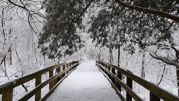 Beat the seasonal blues