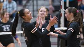 Prairie Ridge returns the favor, sweeps Hampshire