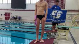 Boys swimming: Lockport's Wrigley Fields diving into state pool