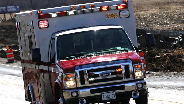 Oregon man dies after being struck by car Thursday on Illinois Route 2: Deputy coroner