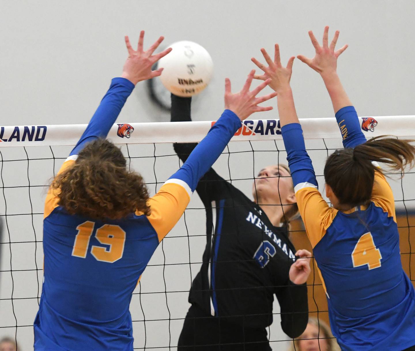 Newman's Jess Johns spikes during first set action at the Eastland Supersectional on Friday, Nov. 4 in Lanark. The Comets won the match in two games.