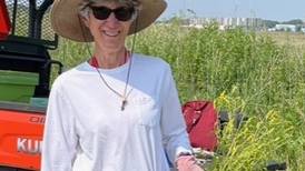 Down the Garden Path: Veggie garden inspiration