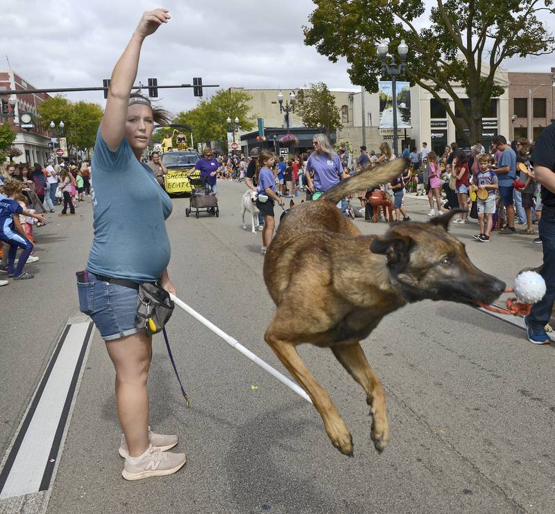 This dog and trainer from Precision K-9 Training show some tricks along the parade route Sunday, Sept. 29, 2024, during Ottawa’s Fall Fest Parade.