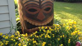 Down the Garden Path Guest columnist series: How to use rainwater properly