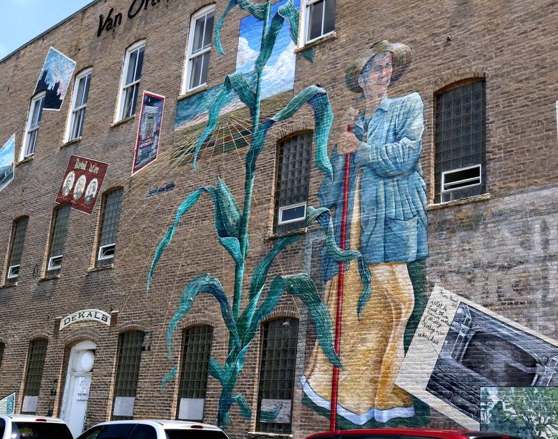Annie Glidden is a prominent part of the mural titled “Its Merits Recommend It...” by artist Olivia Gude Tuesday, July 22, 2025. The artwork graces the side of the building at the corner of Lincoln Highway and First Street in DeKalb.
