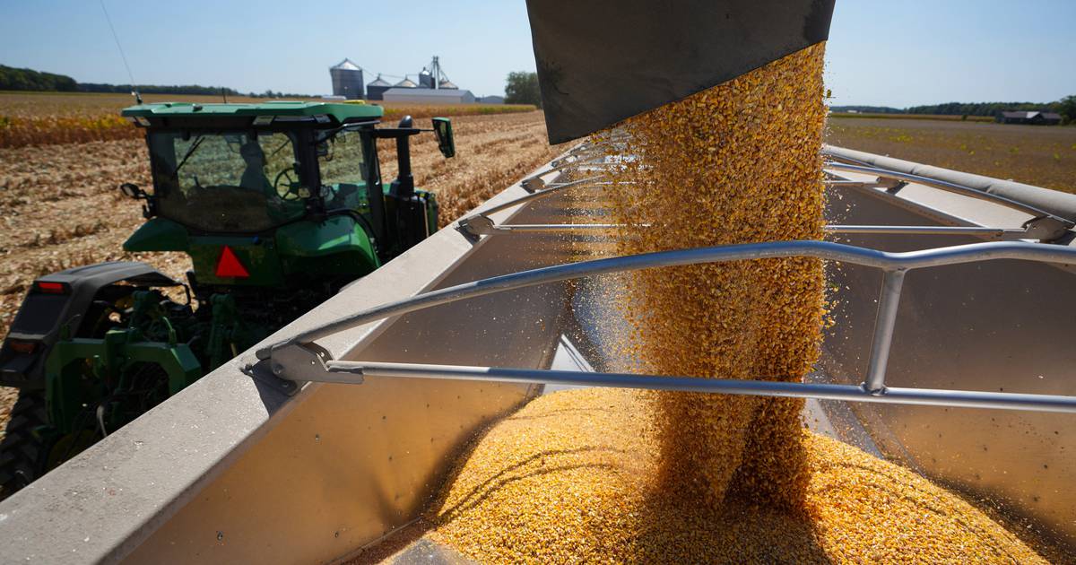 Illinois farm income a ‘real concern’