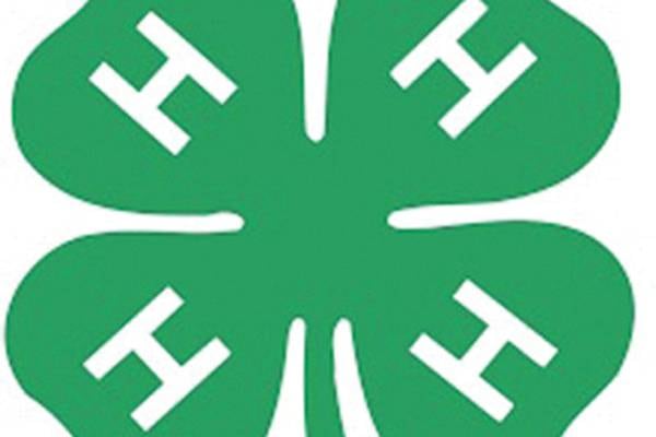 Leaf River Lions Club donates to Soaring Eagles 4-H Club