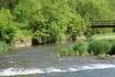 Explore the natural wonders of northwest Illinois state parks 