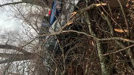 Wheaton continues to clear downed trees following heavy winds