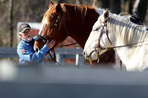 McHenry County veterans organizations receive $100K state grants from lottery money