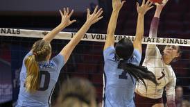Girls volleyball: 2024 Northwest Herald All-Area Team  