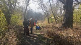 Out with the buckthorn and honeysuckle, make way for the oaks at McHenry County Conservation District