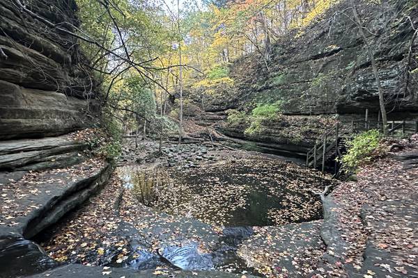 Eye On Illinois: Renewed efforts to invest in well-loved state park system