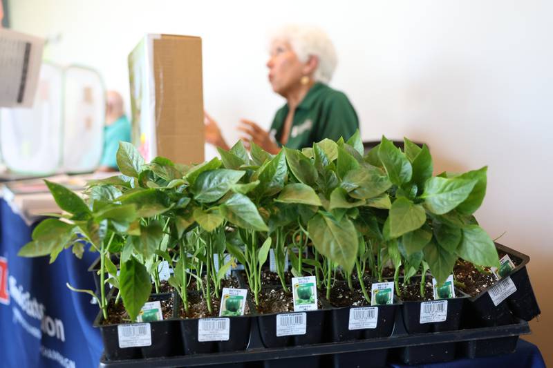 Free green pepper plants wait to be taken at the Green Escape Earth Day Event on Wednesday, April 22, 2026 in Joliet.