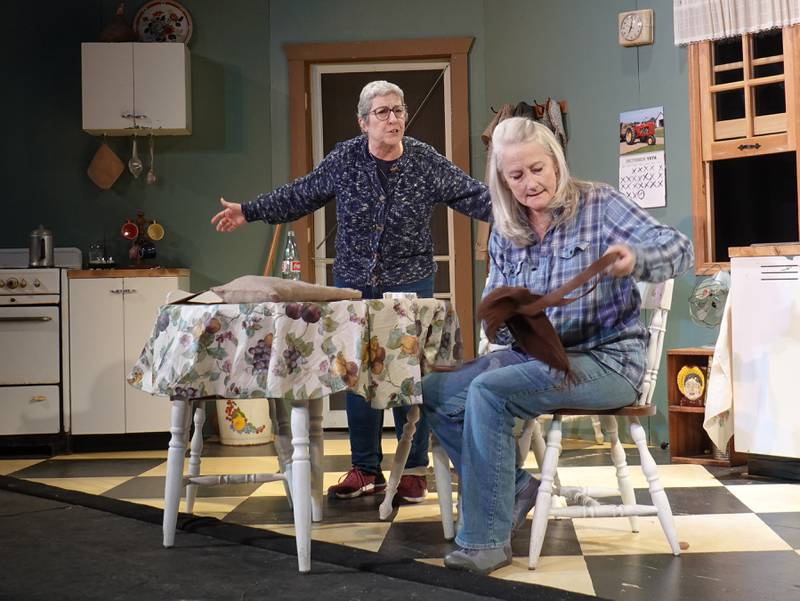 The Performing Arts Guild will present Crimes of the Heart to be held May 2-4 at the Allure of Pinecrest Grove Theater, Mt. Morris. For ticket information call 815-734-2103 or order online at performingartsguild.com. Pictured are Mary Cheatwood and  Mary Mead-Cantrell.