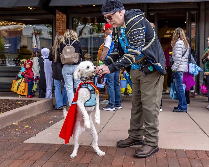 Luke the dog, AKA Krypto stands for a treat from his owner Nick at the Plainfield Spooktacular Trick-or-treating event Saturday Oct 25, 2025 in Plainfield.