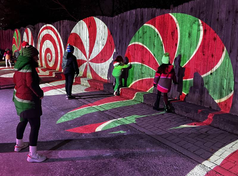 Holiday Magic at Brookfield Zoo runs through December 31, 2024.