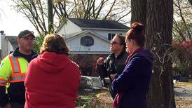 ‘Act of vengeance’: They fought for years to protect tree. Road commissioner removed it after losing election