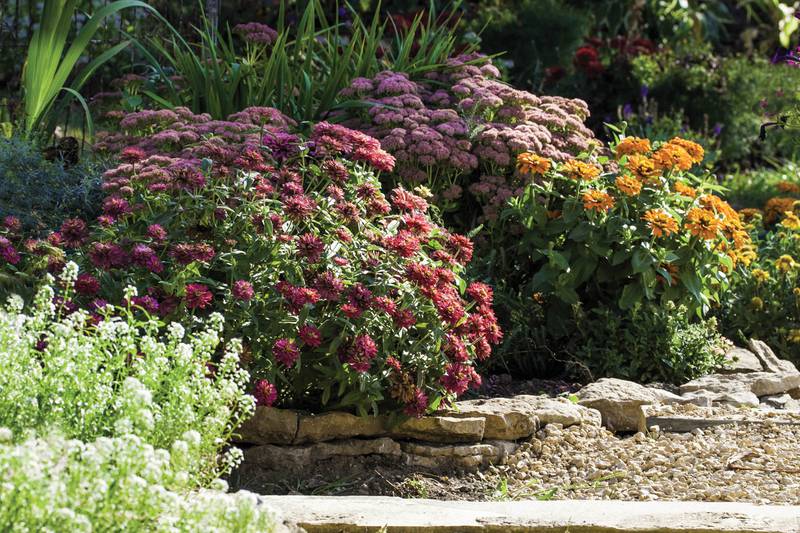 Countryside Flower Shop - Elburn - Plant Now for Radiant Autumn Color