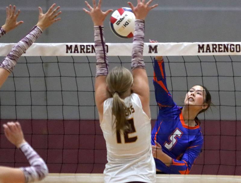 Genoa-Kingston’s Mia Wise hits the ball against Richmond-Burton in IHSA Class 2A Regional Title Game volleyball action on Thursday, Oct. 31, 2024, at  Marengo High School  in Marengo.