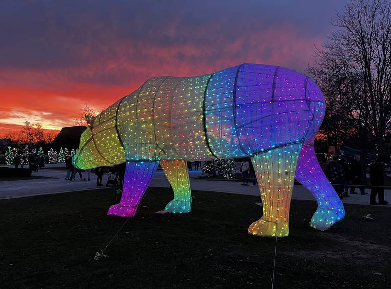 Holiday Magic at Brookfield Zoo runs through December 31, 2024.