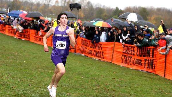 Downers Grove North boys dominate, run to repeat state championship