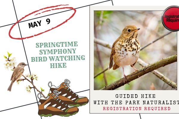 Enjoy a bird hike May 9 at Starved Rock State Park