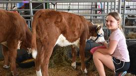 New Illinois law helps 4-H students with excused absences