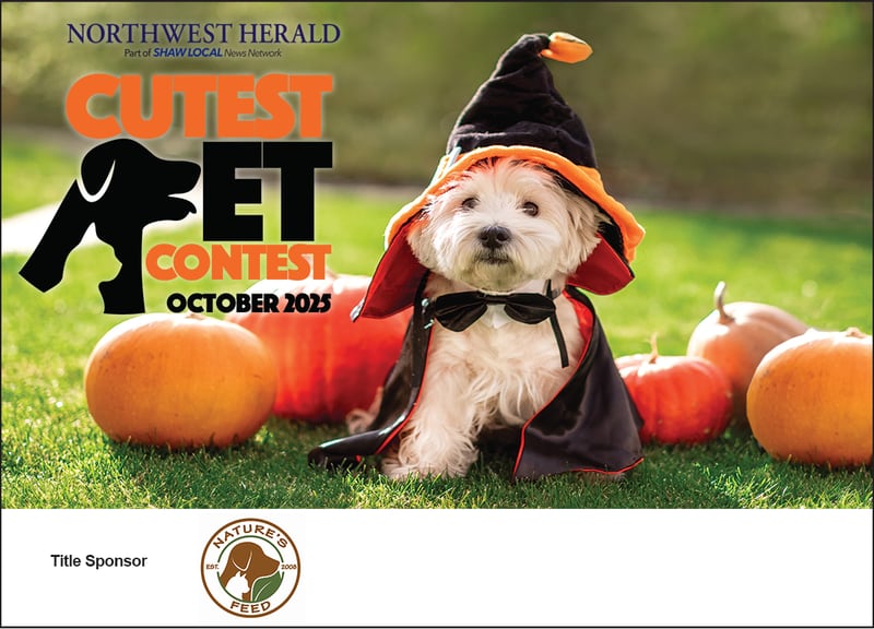 October Cutest Pet
