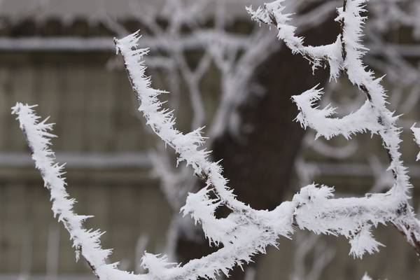 Youth mental health services available in DeKalb County