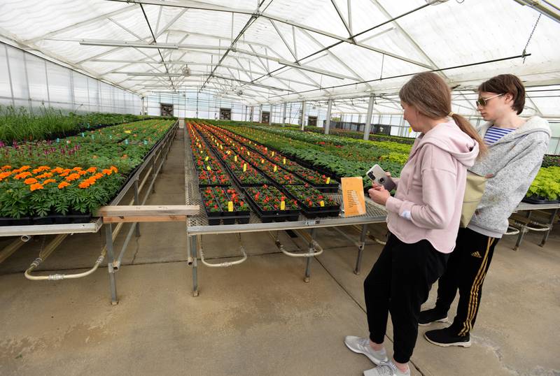 Cantigny's greenhouse is open to the public for the Spring Fling and Market attendees including Karen and Alex Westberry of Wheaton Saturday May 13, 2023.