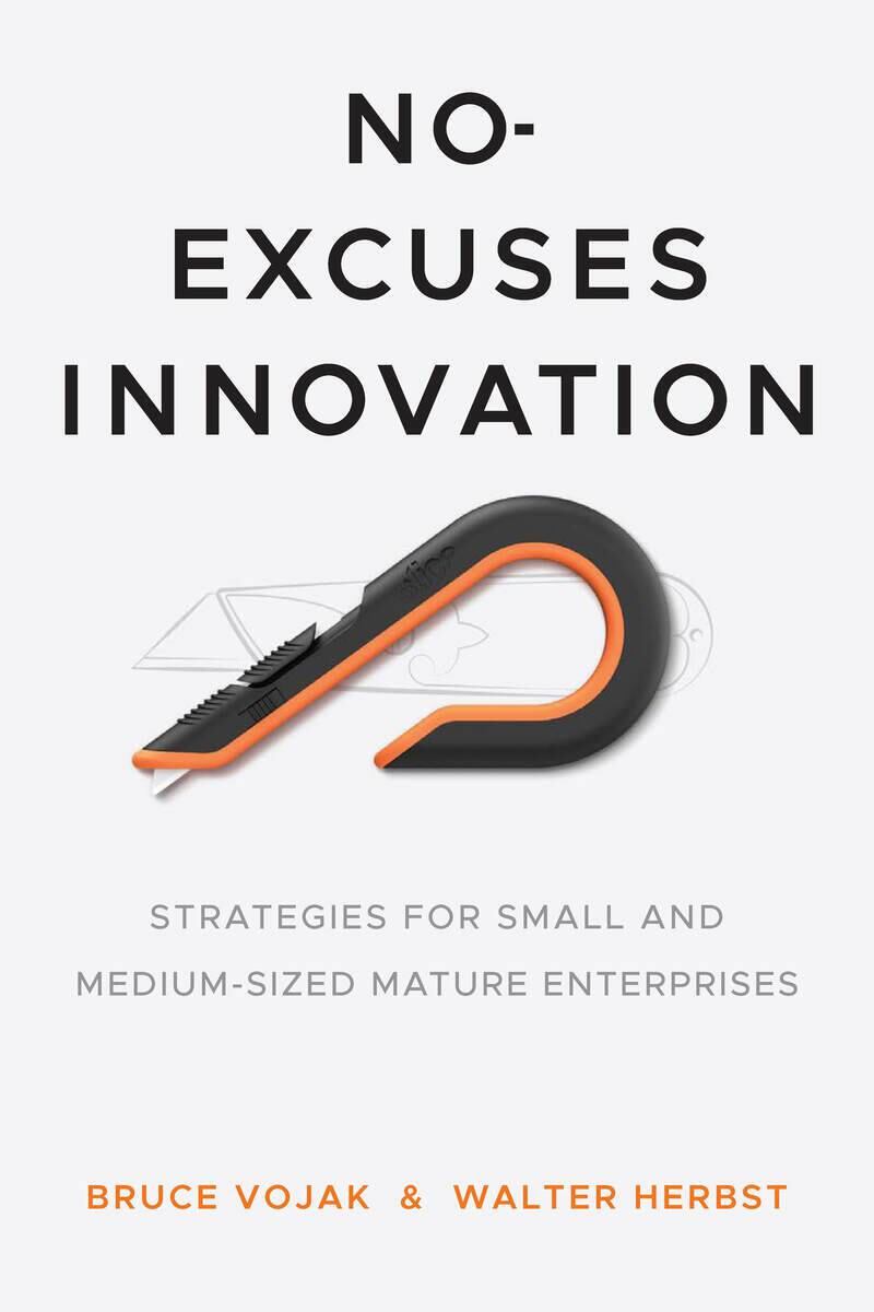 "No Excuses Innovation: Strategies for Small and Medium Sized Mature Enterprises" book cover