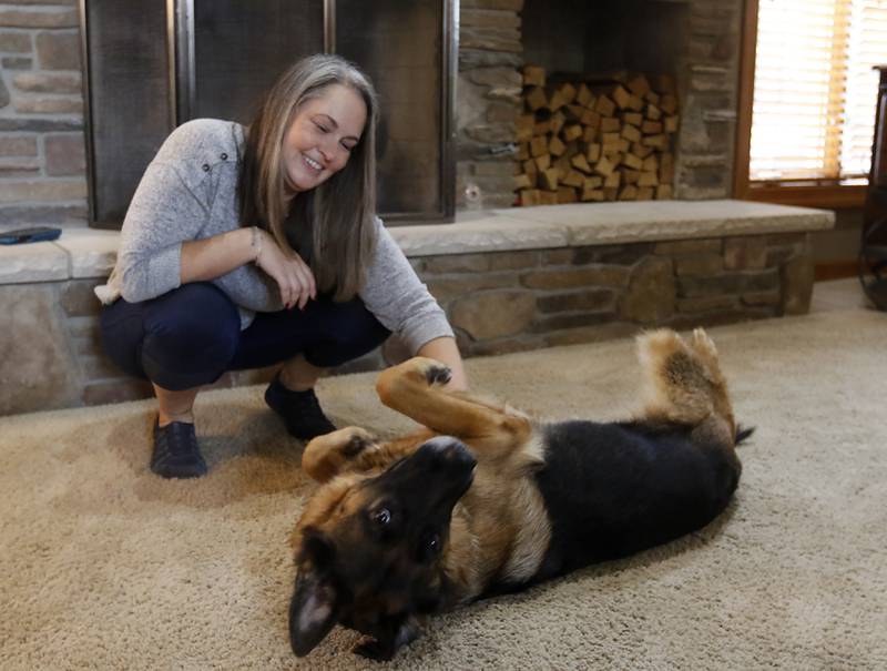 Kate Dalman plays one of her three German Shepherds, Uta, on Tuesday, Sept. 19, 2023, at a relatives home in Lakewood. Dalman is  working to create a registry of ethical dog breeders -  Herzog Conscientious Breeders Alliance -to help prevent dogs from being given up to shelters when it doesn't work out.