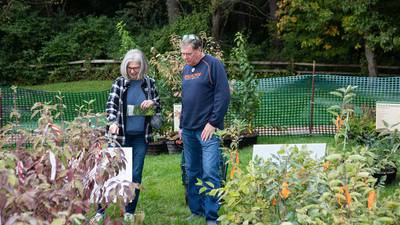OAKtober native tree, shrub sale planned