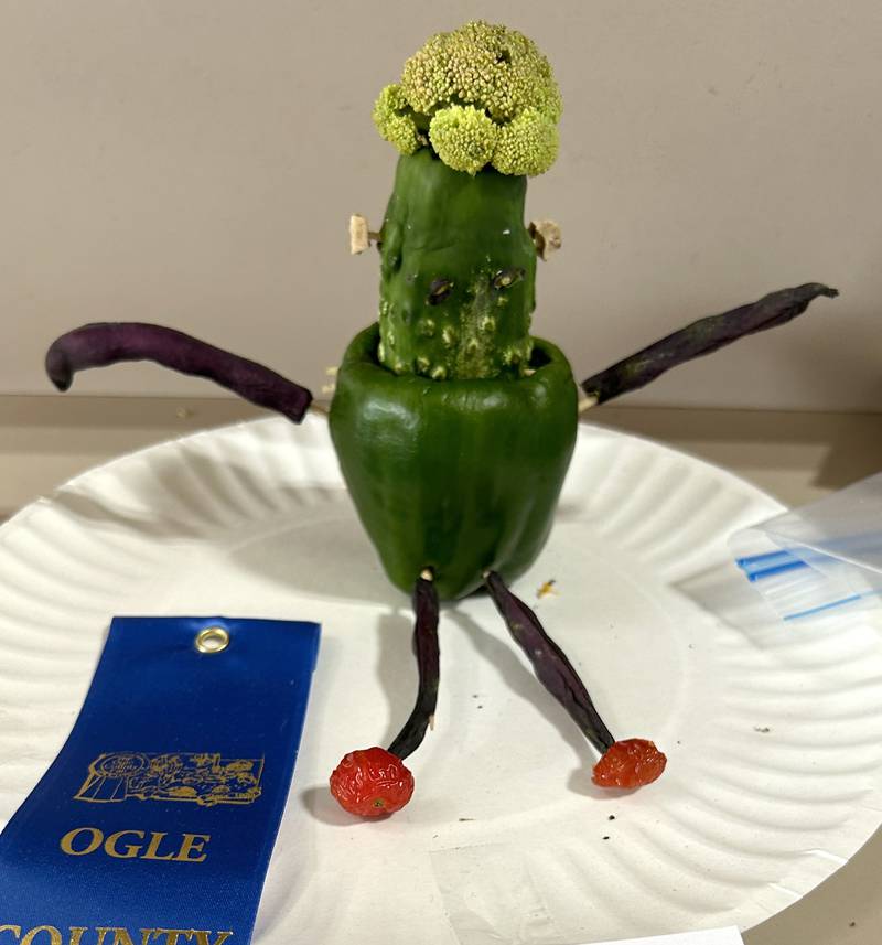 A pepper, cucumber, beans, and broccoli made up this entry at the Ogle County 4-H Fair on Friday, Aug. 2, 2024.